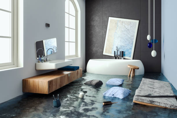 Best Mold removal after water damage  in Hammond, IN