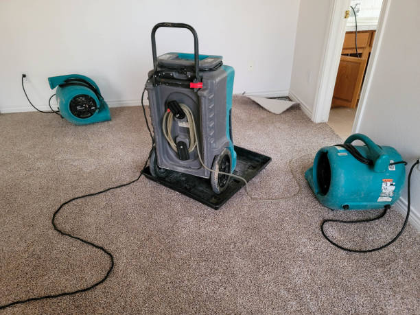 Best Basement water damage restoration  in Hammond, IN