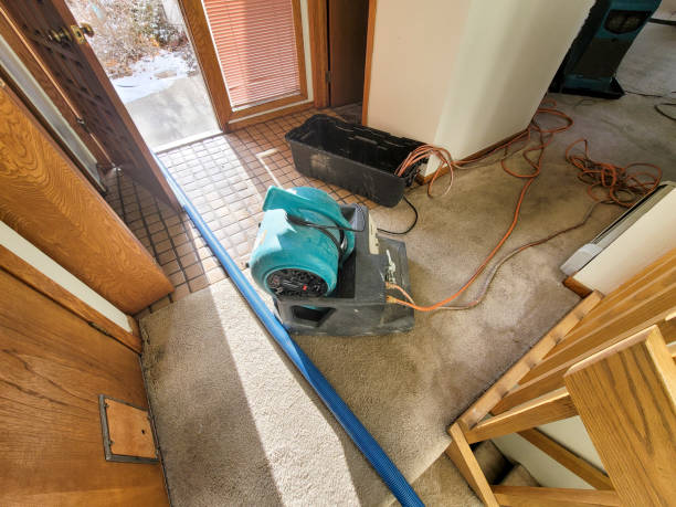Trusted Hammond, IN Water damage restoration Experts