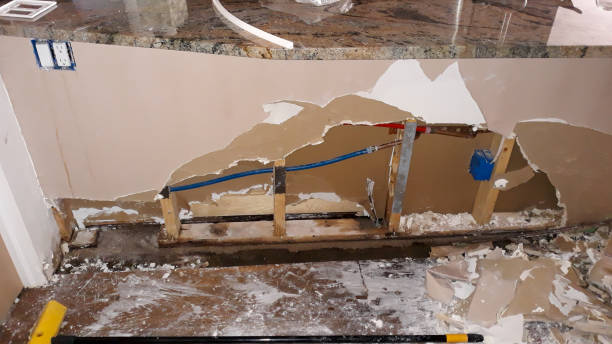 Best Water damage restoration near me  in Hammond, IN