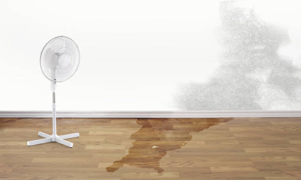 Best 24/7 water damage repair  in Hammond, IN