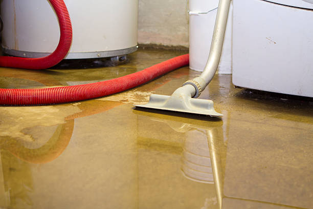 Best Water damage contractors near me  in Hammond, IN