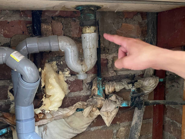 Best Commercial water damage restoration  in Hammond, IN