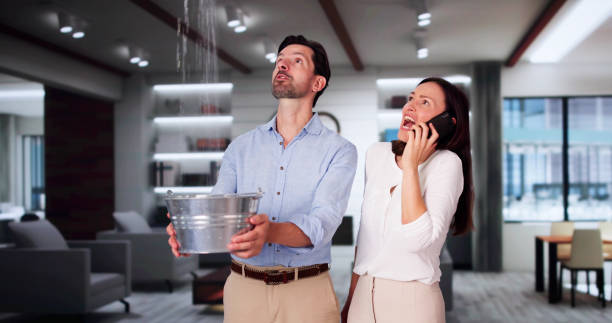 Best Flood damage cleanup  in Hammond, IN
