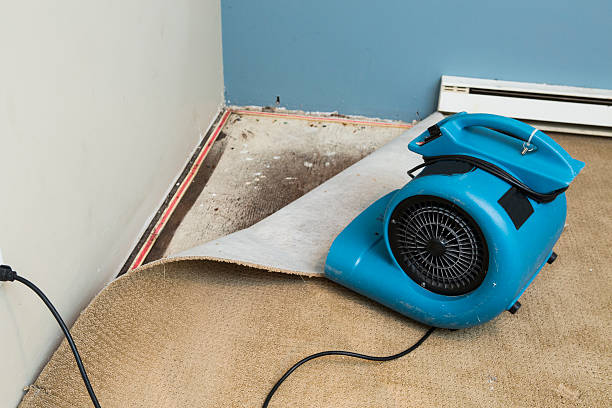 Best 24-hour water damage restoration  in Hammond, IN